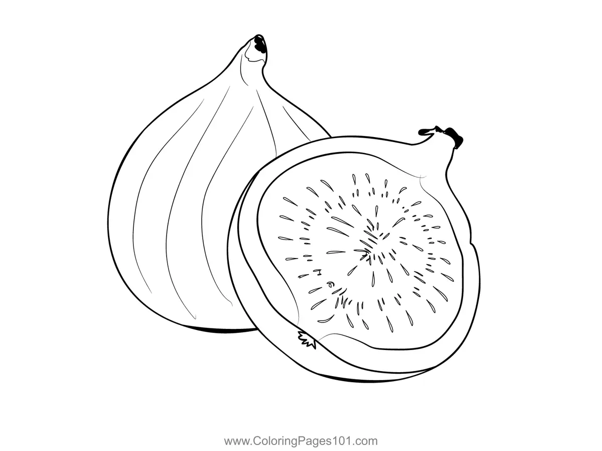 Fig Coloring Pages 9