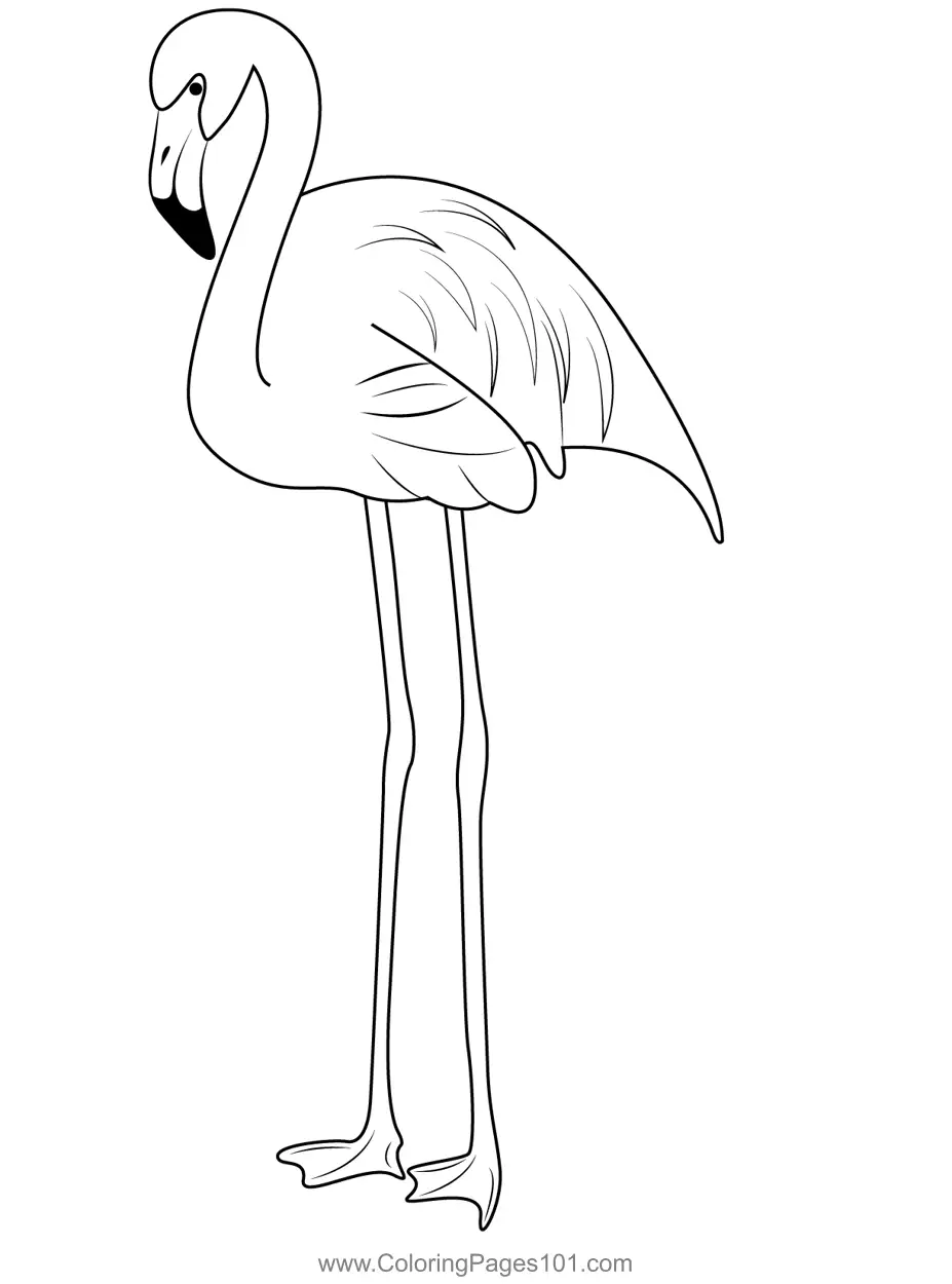 Flamingos Coloring Pages 8