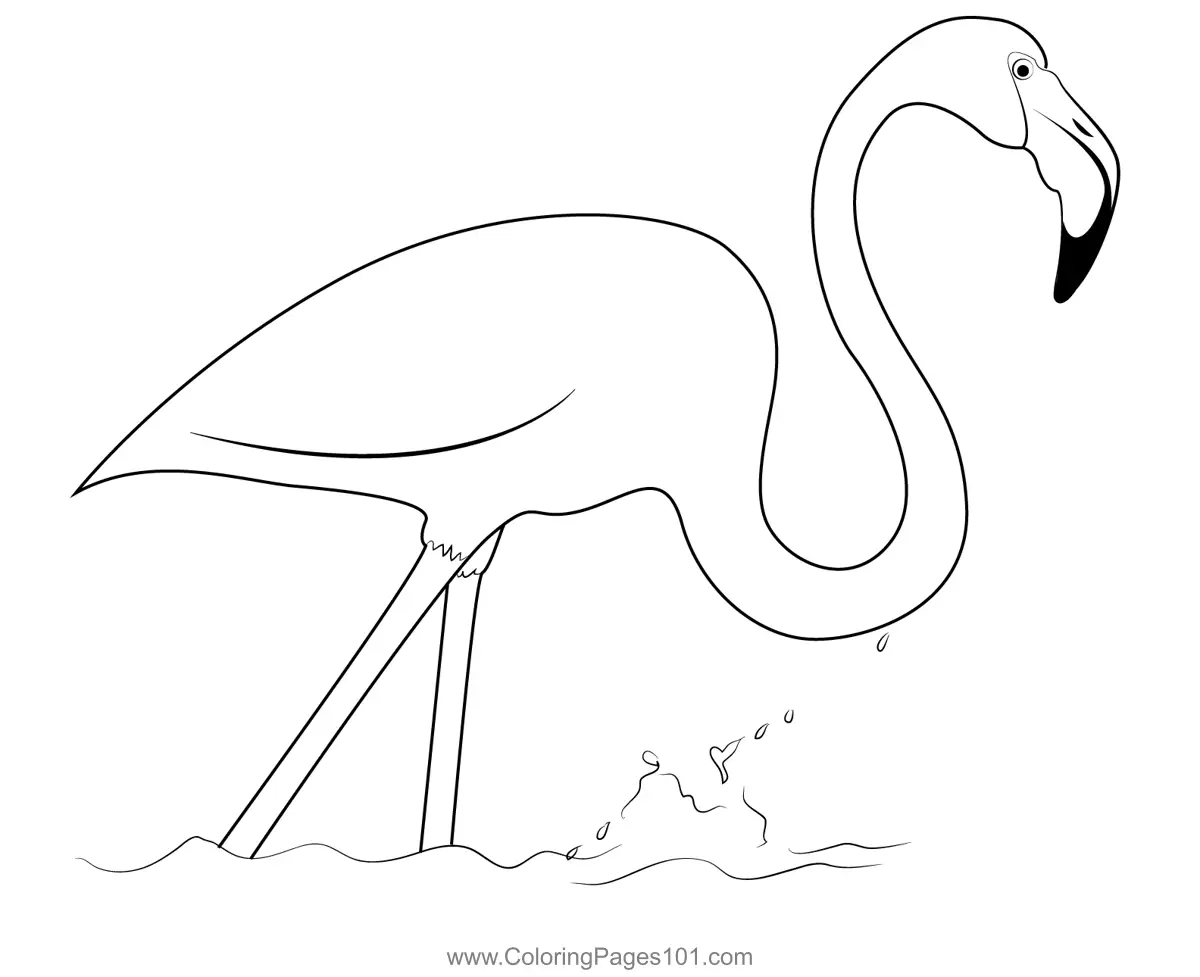 Flamingos Coloring Pages 9