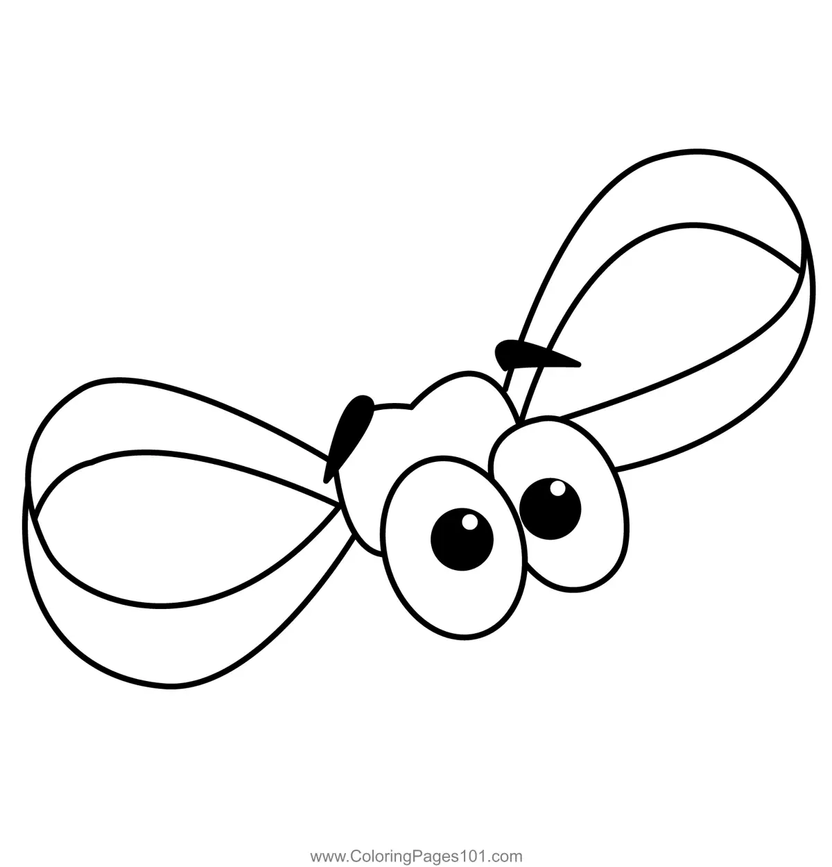 Flies Coloring Pages