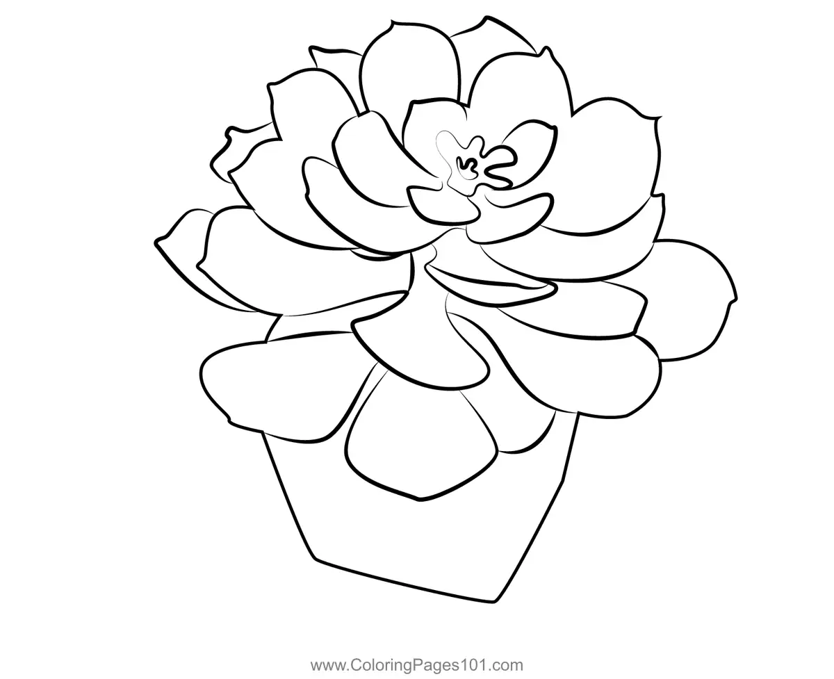 Flower Pots Coloring Pages 5