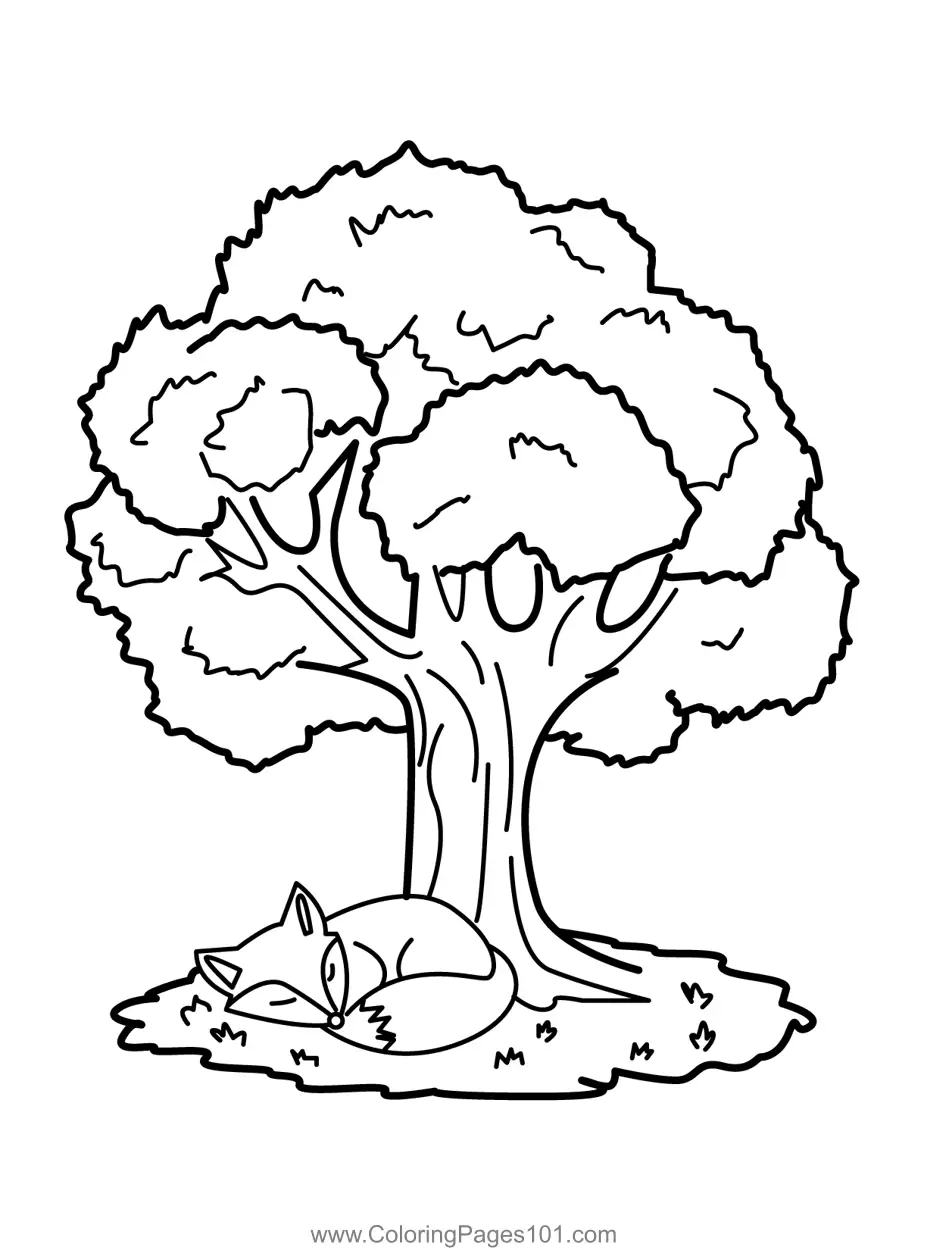 Fox Coloring Pages 1