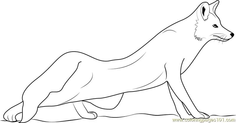 Fox Coloring Pages 11