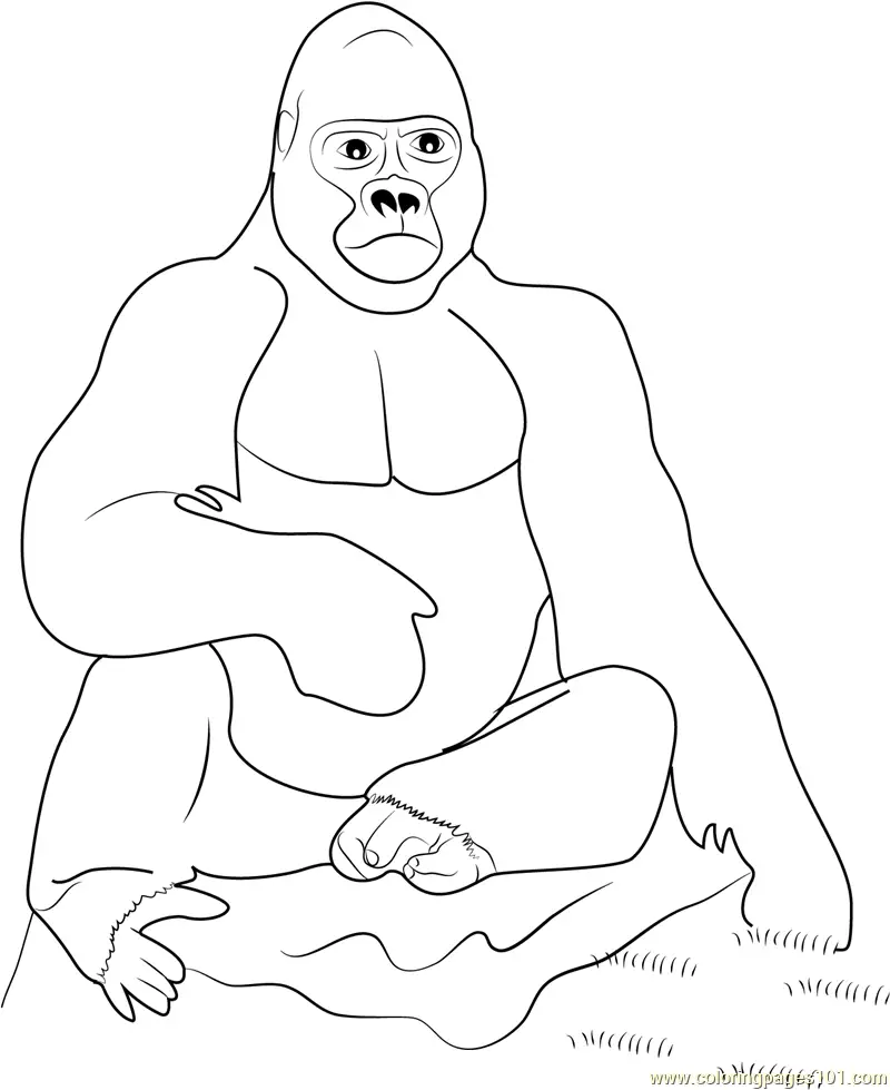 Gorilla Coloring Pages 5