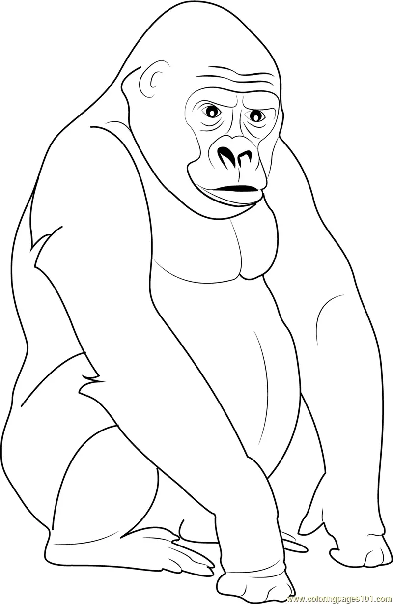 Gorilla Coloring Pages 6