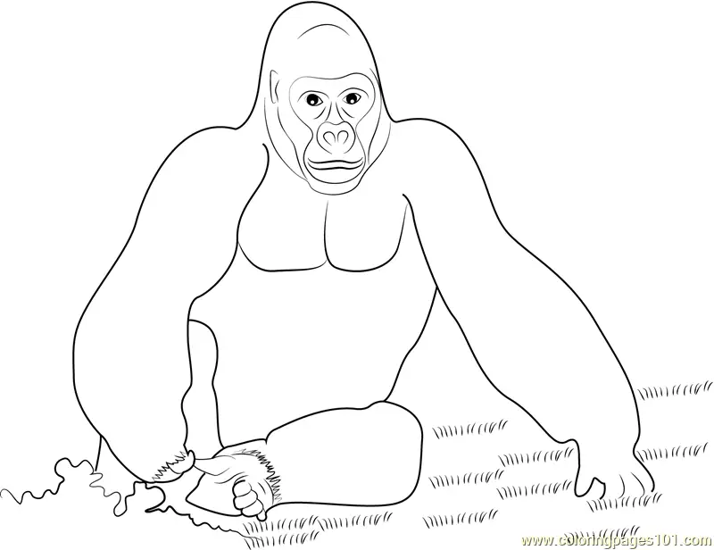 Gorilla Coloring Pages 8