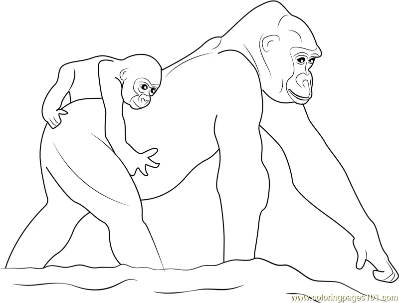 Gorilla Coloring Pages 9