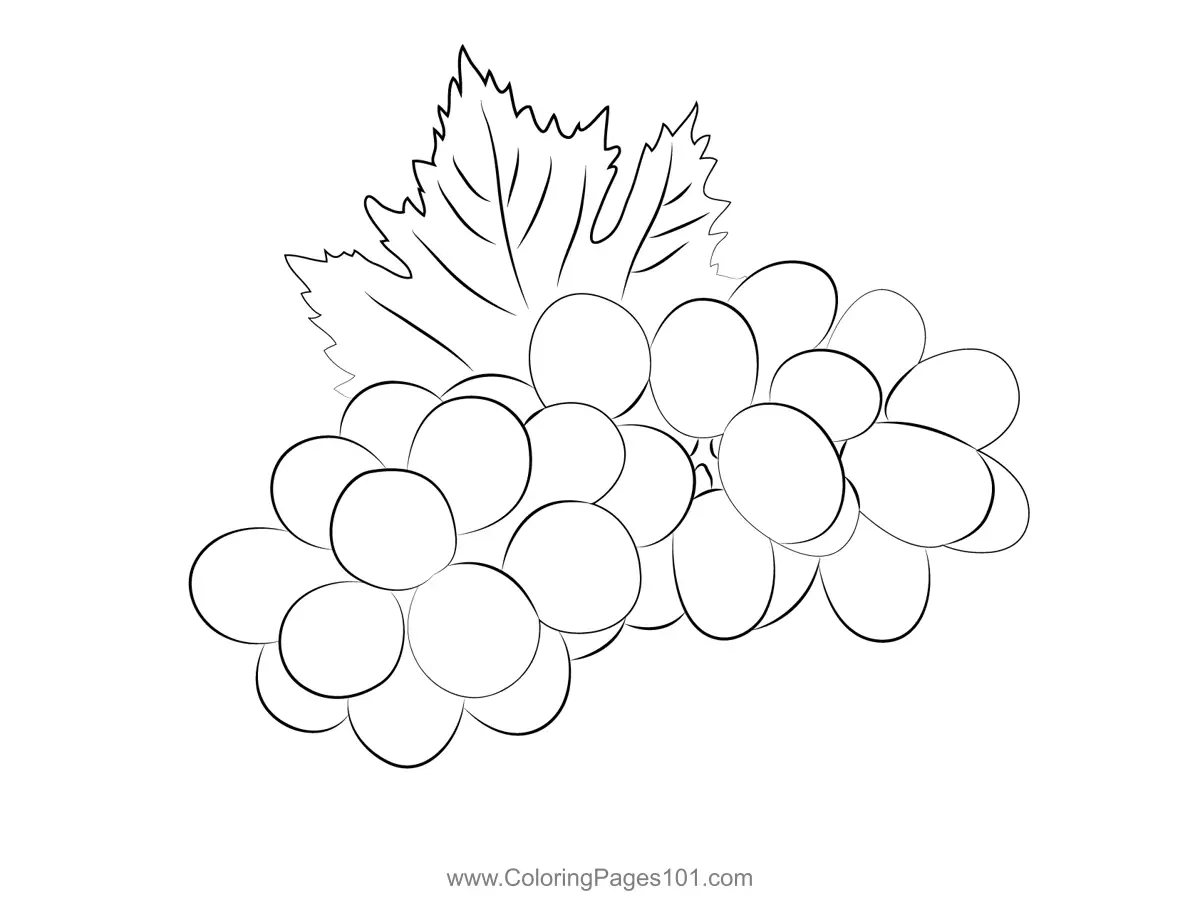Grape Coloring Pages 10