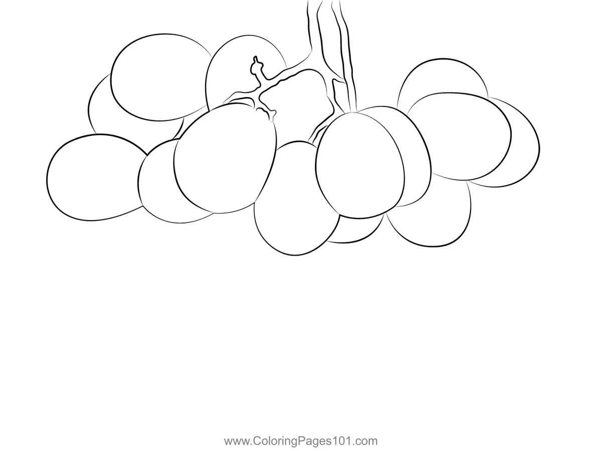 Grape Coloring Pages 6