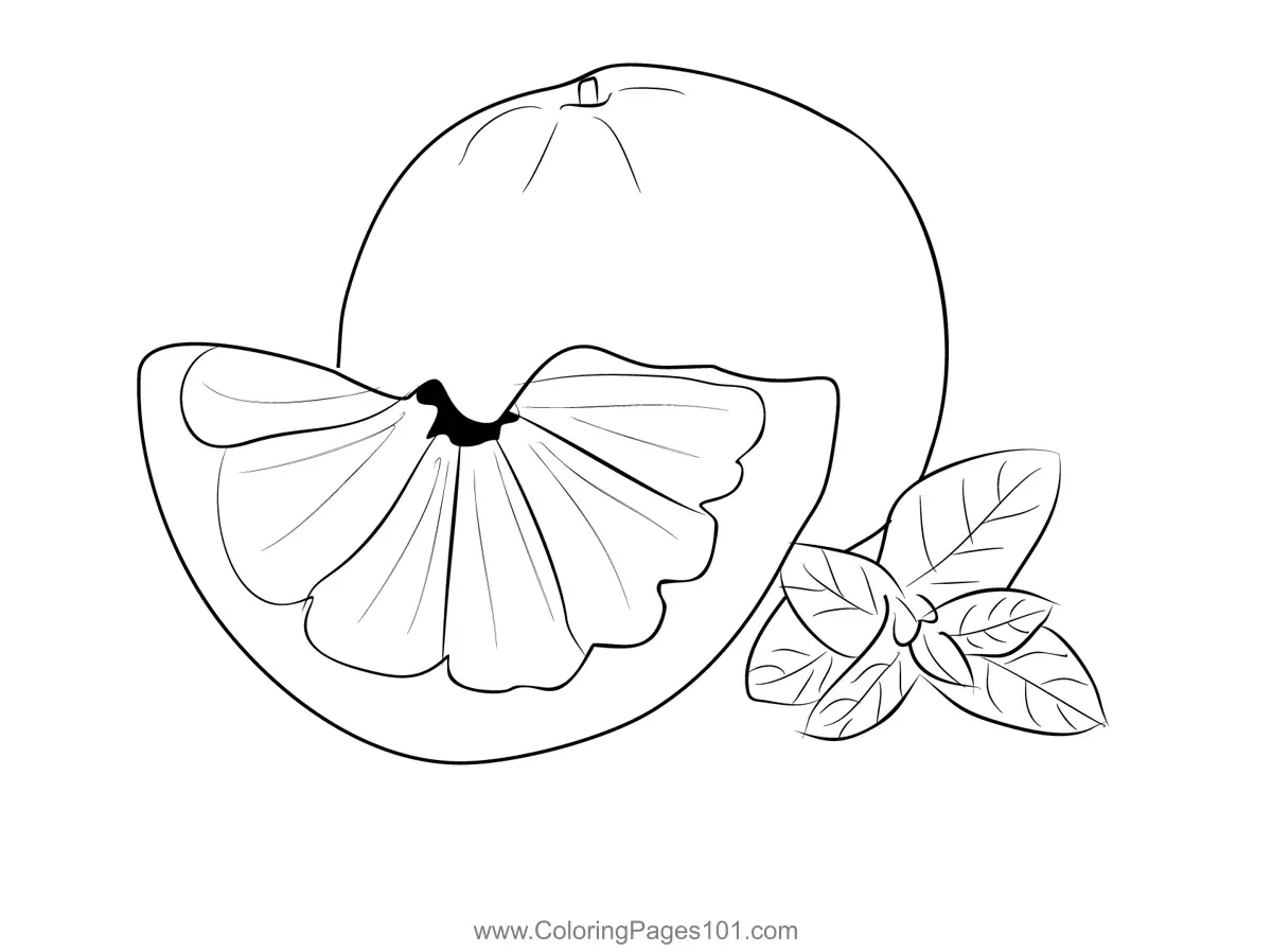 Grapefruit Coloring Pages 11