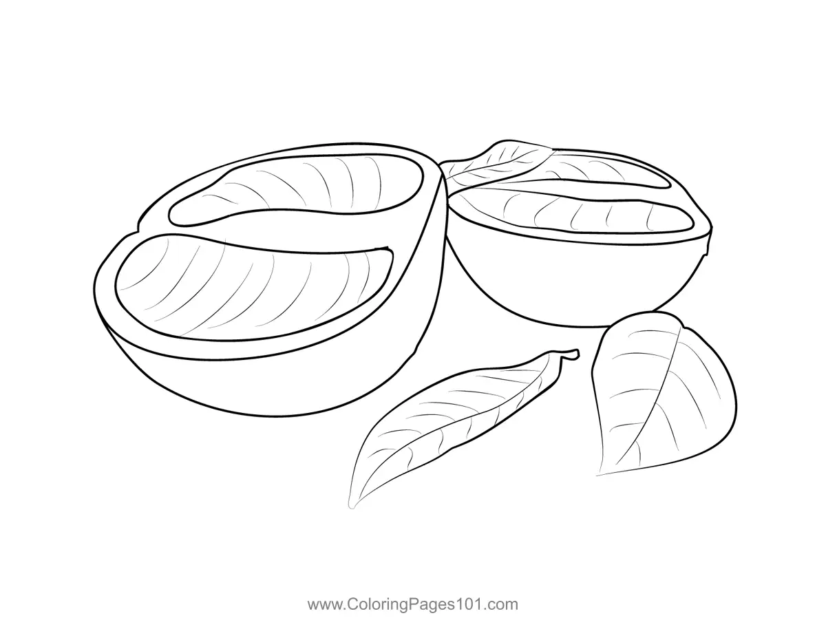 Grapefruit Coloring Pages