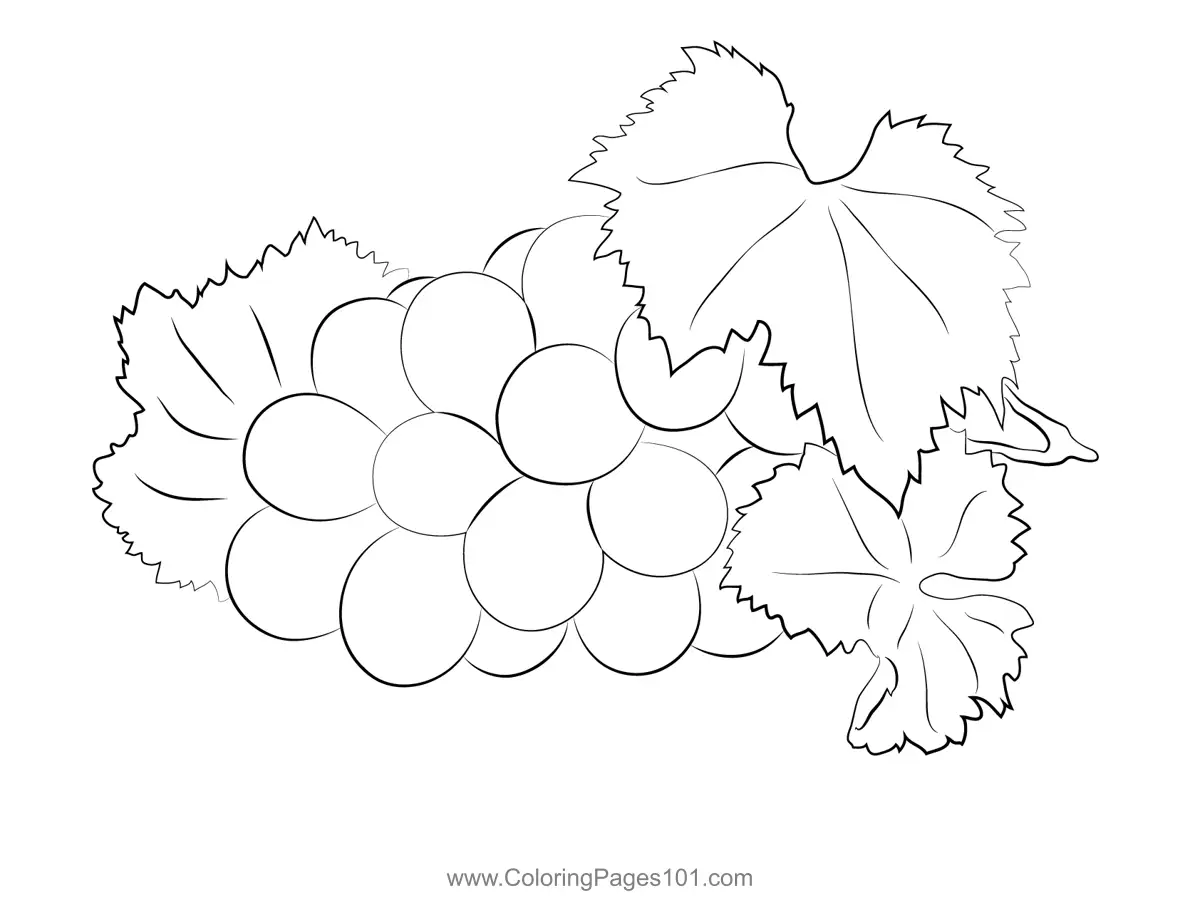 Grapefruit Coloring Pages 2