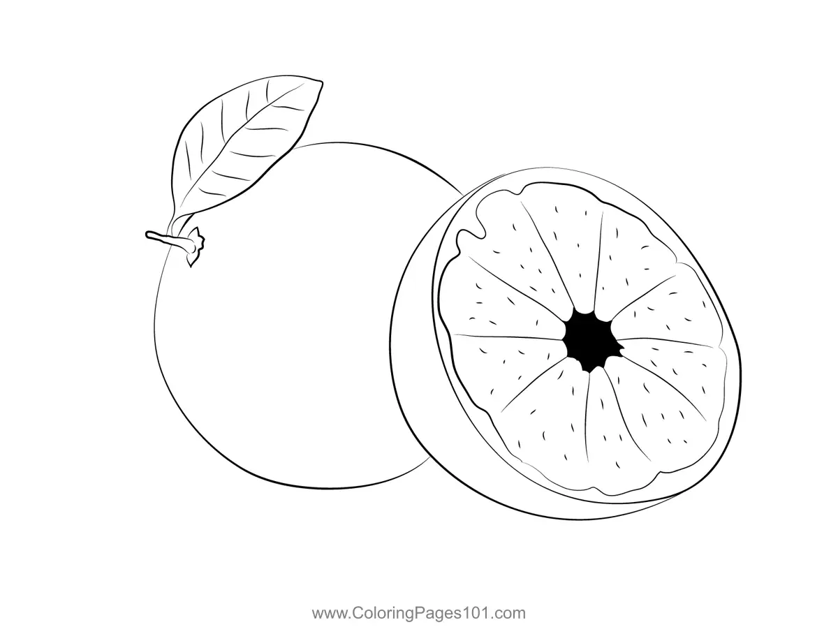 Grapefruit Coloring Pages 5