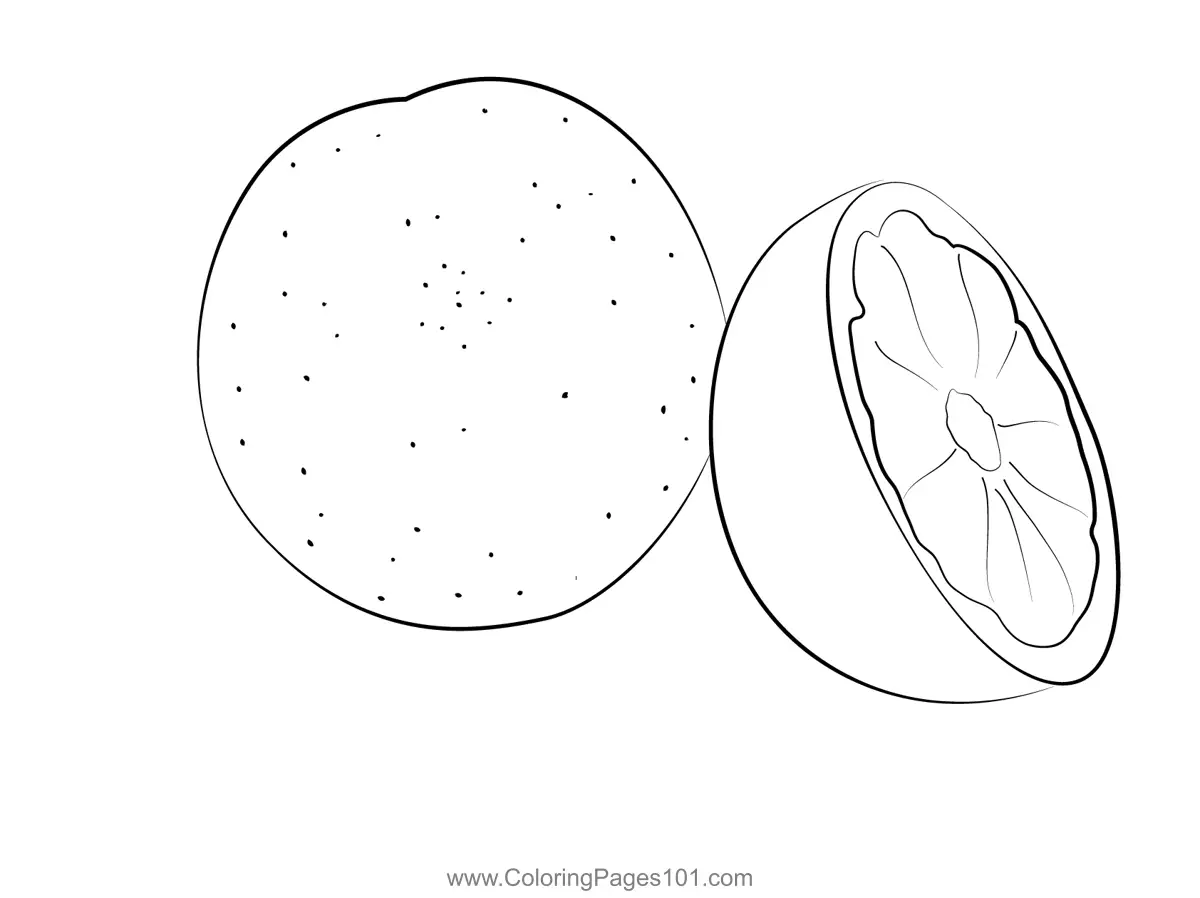 Grapefruit Coloring Pages 7