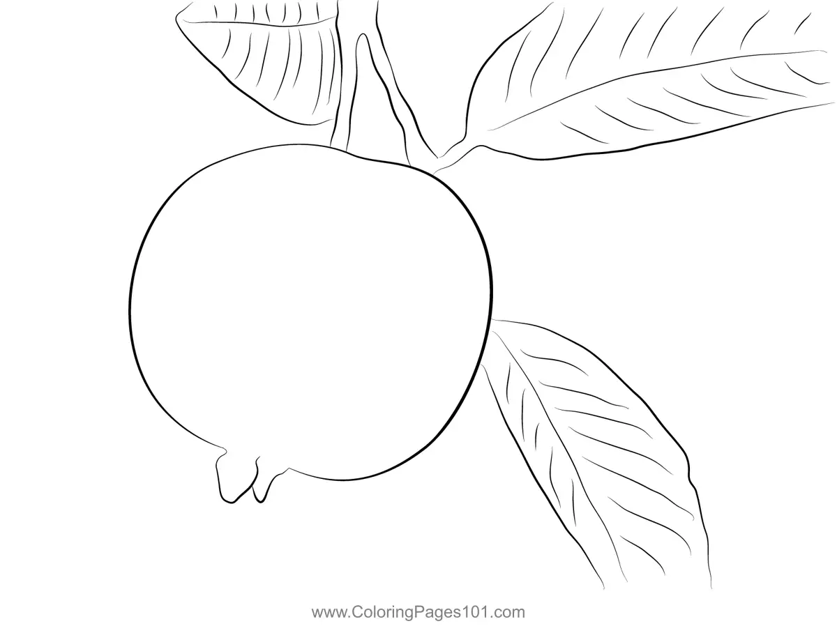 Guava Coloring Pages 7