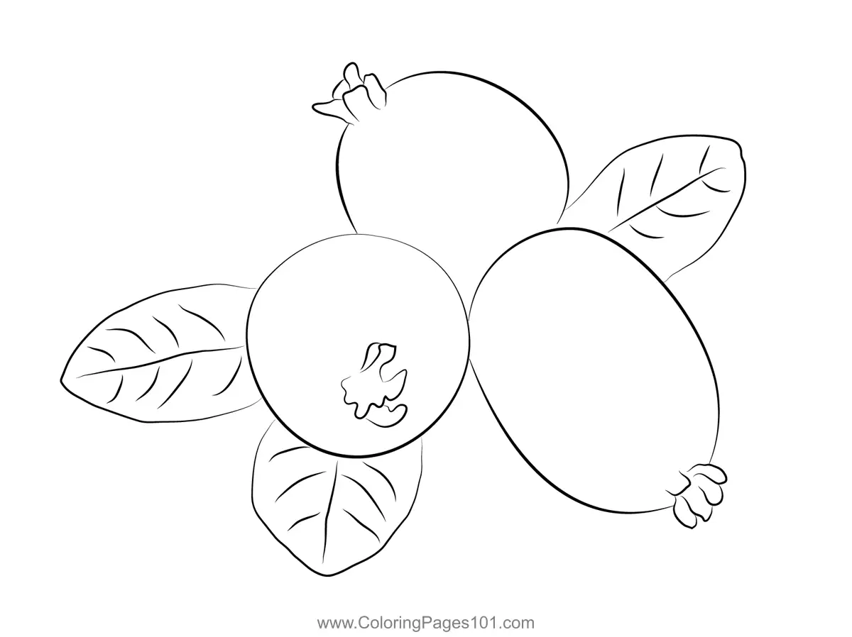Guava Coloring Pages 8