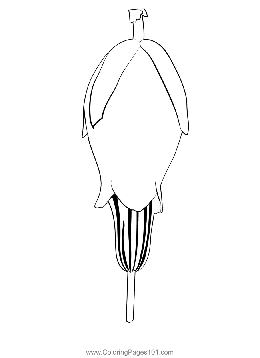 Heathers Coloring Pages 1