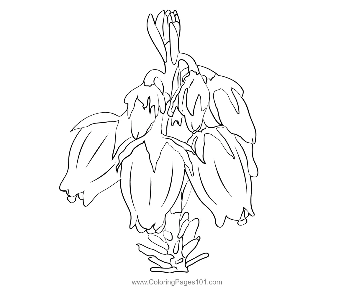 Heathers Coloring Pages