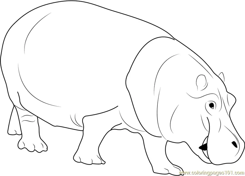 Hippopotamus Coloring Pages 2