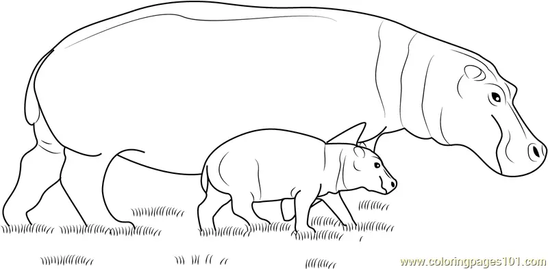 Hippopotamus Coloring Pages 3