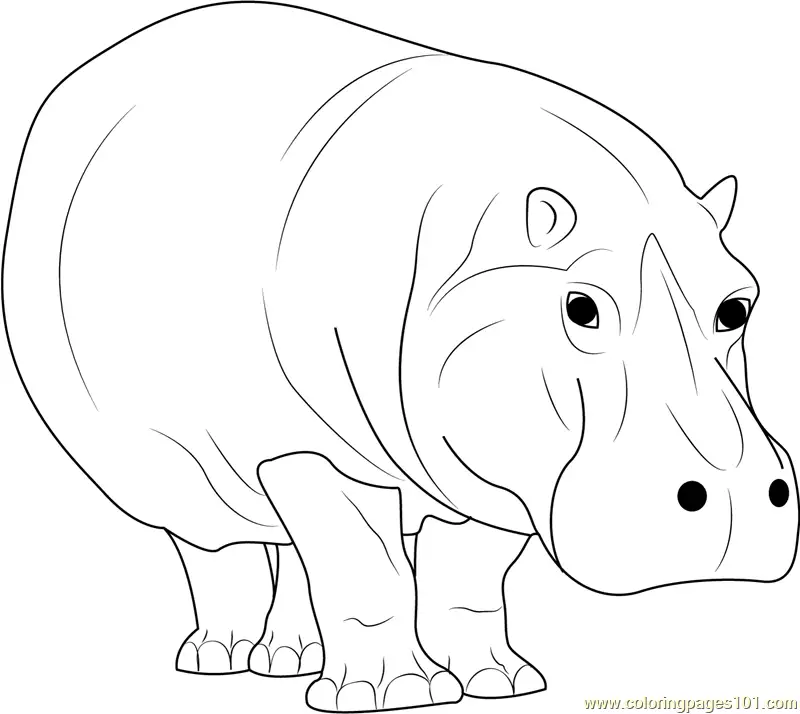 Hippopotamus Coloring Pages 4