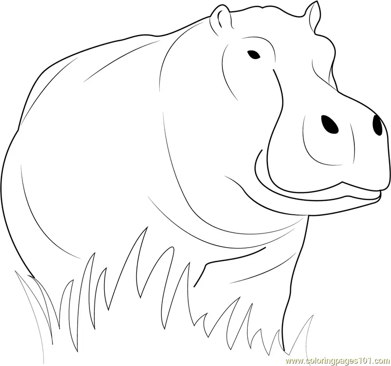 Hippopotamus Coloring Pages 6