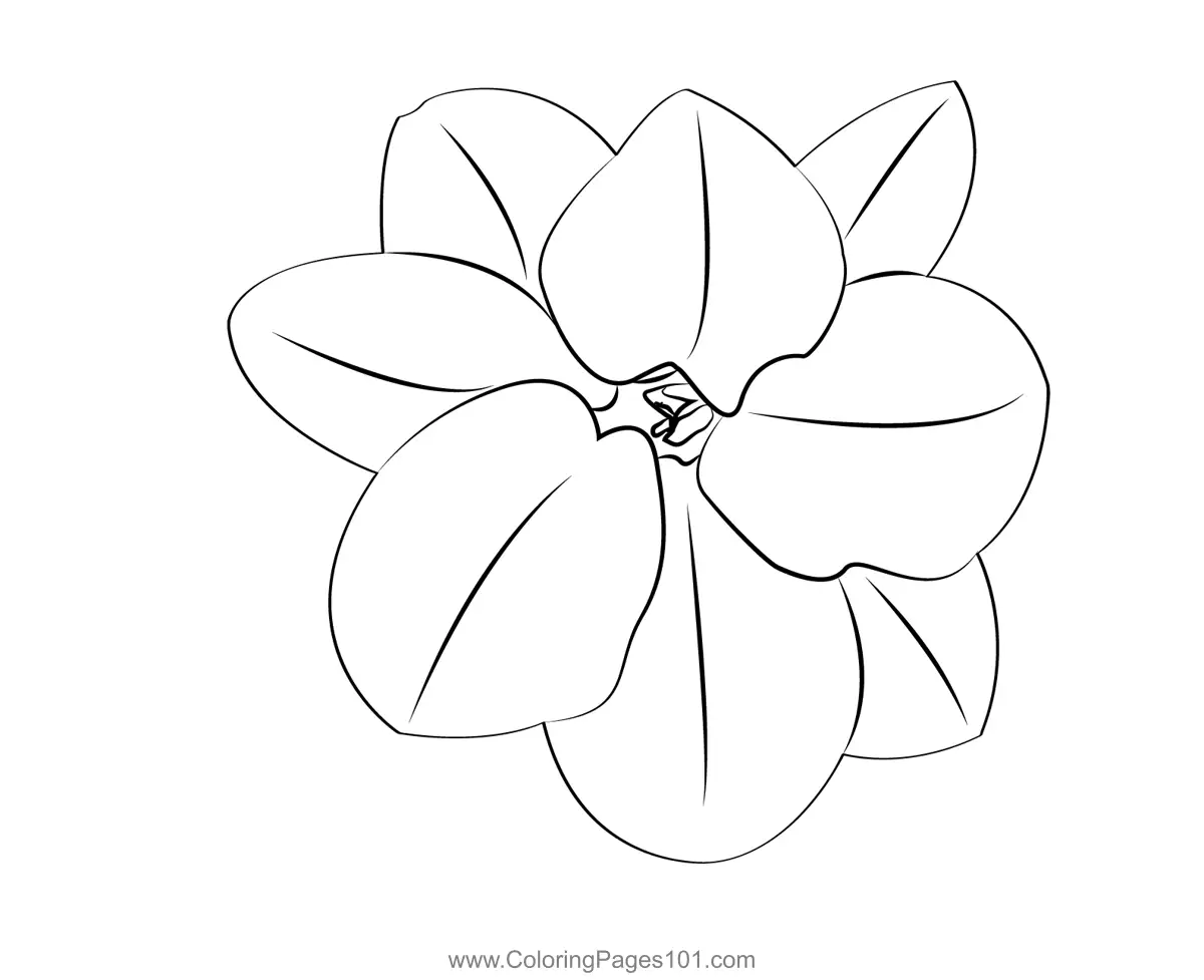 Jasmine Coloring Pages 2