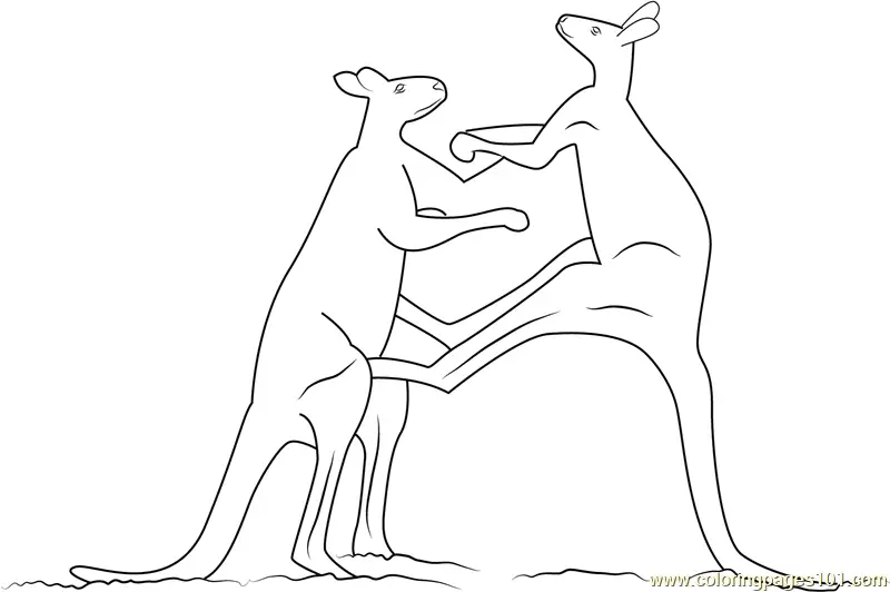 Kangaroo Coloring Pages 5