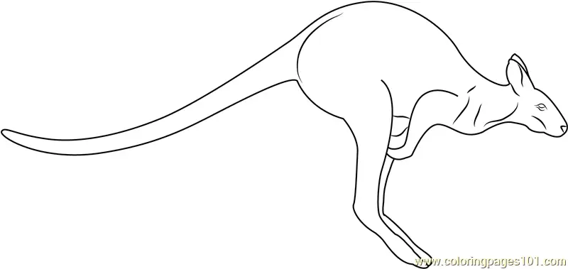 Kangaroo Coloring Pages 9