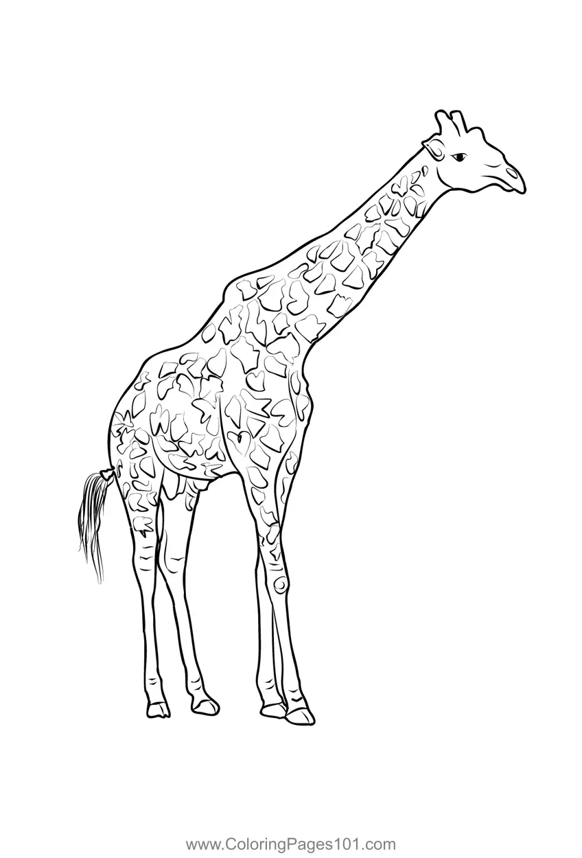 Kenya Coloring Pages 5