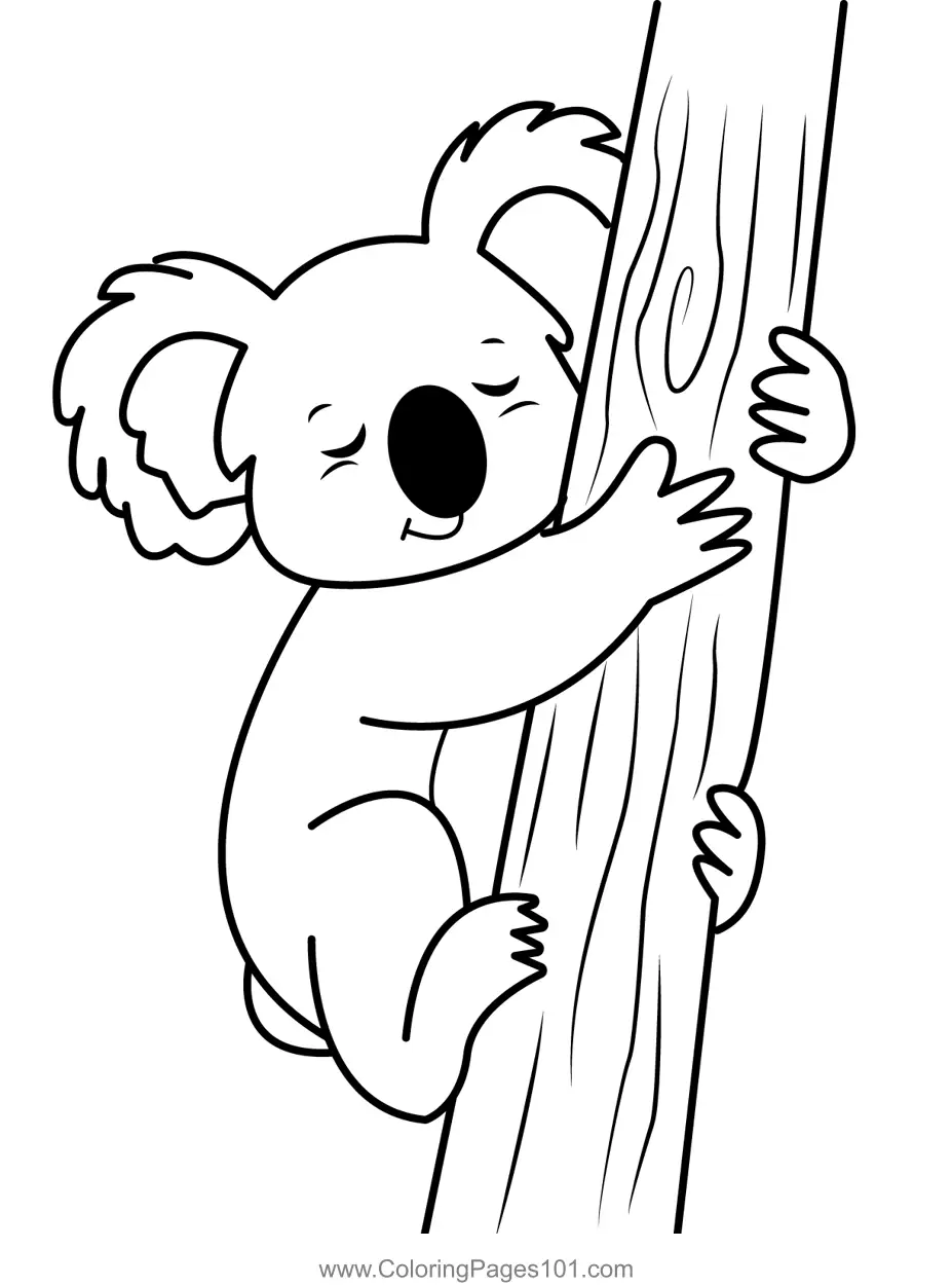 Koala Coloring Pages 1
