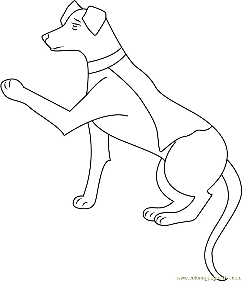 Krypto Coloring Pages 10