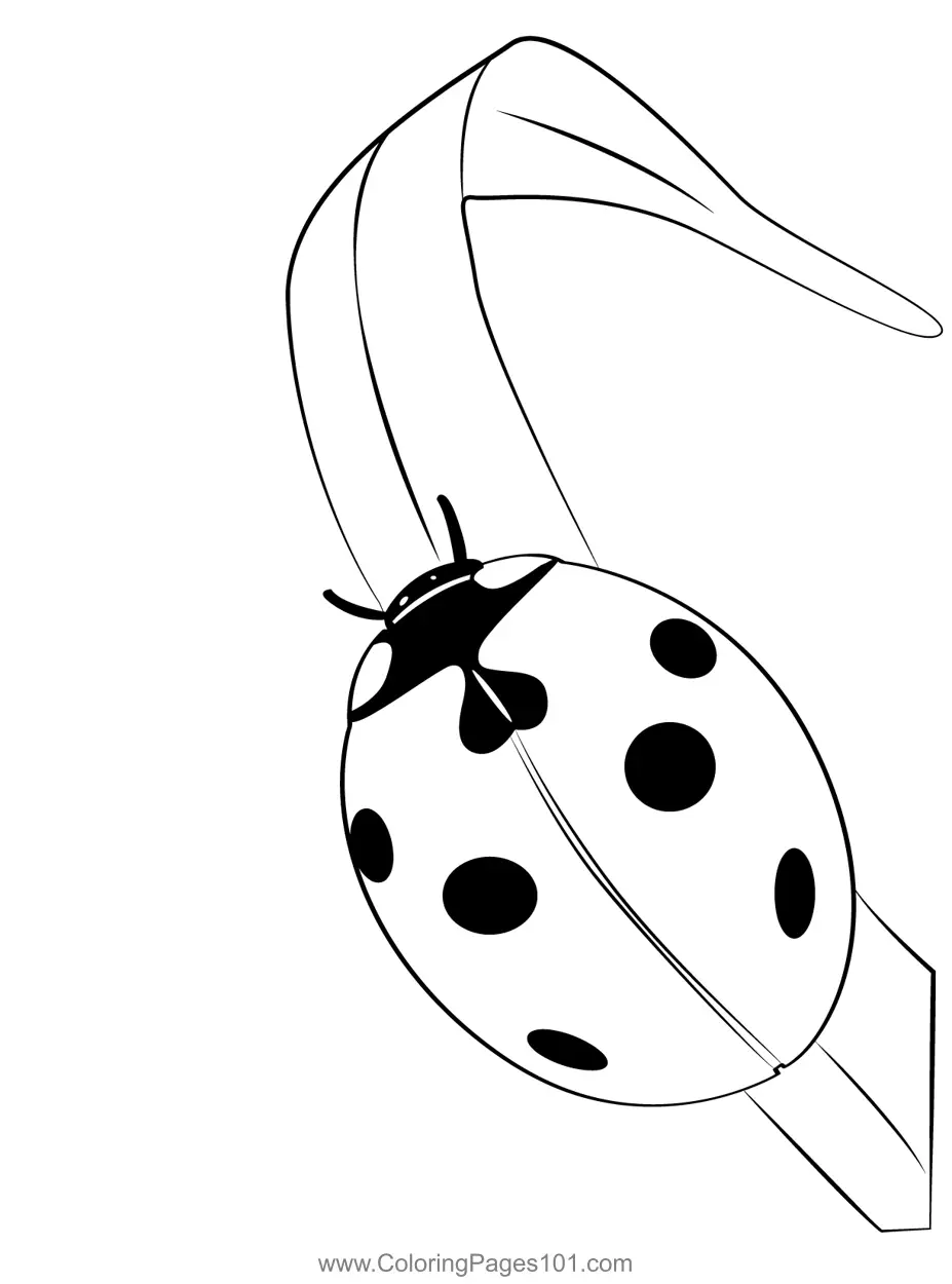 Ladybugs Coloring Pages 11
