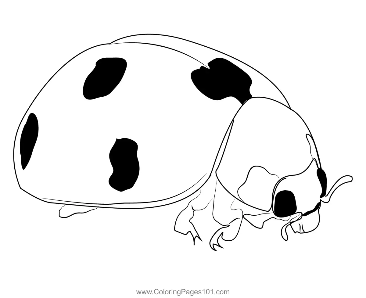 Ladybugs Coloring Pages