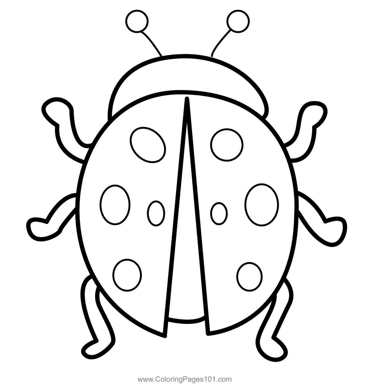 Ladybugs Coloring Pages 5