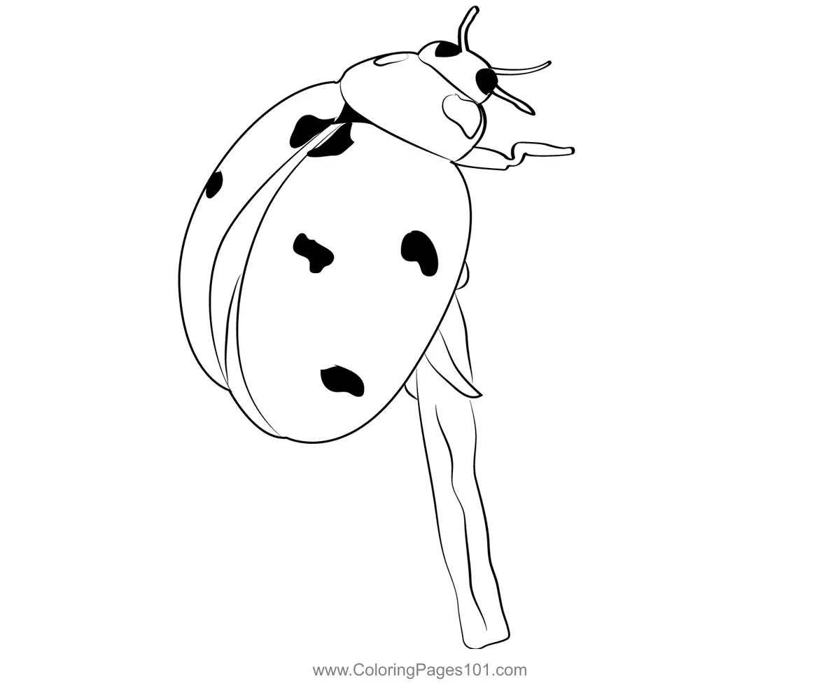 Ladybugs Coloring Pages 8