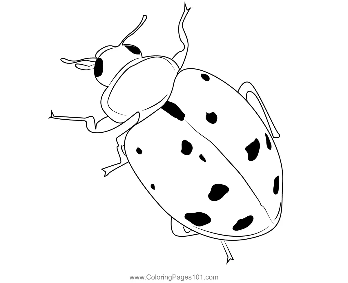 Ladybugs Coloring Pages 9