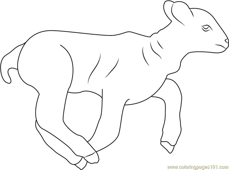 Lamb Coloring Pages 10