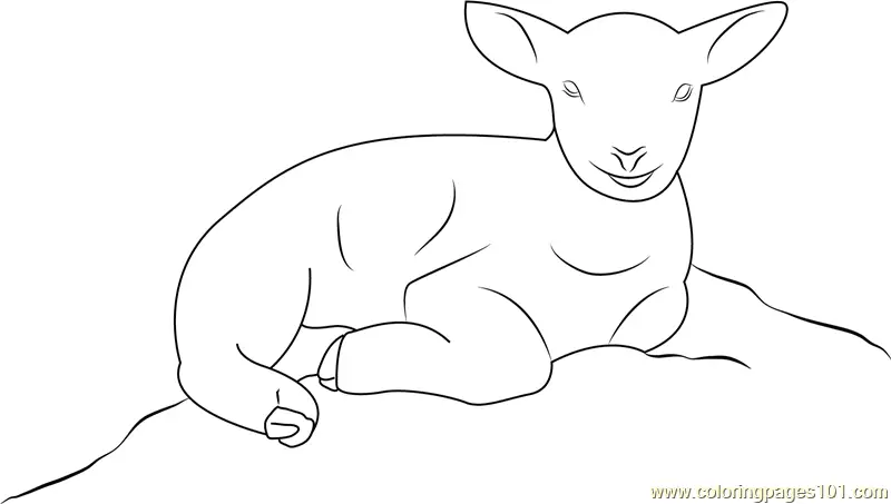 Lamb Coloring Pages 5