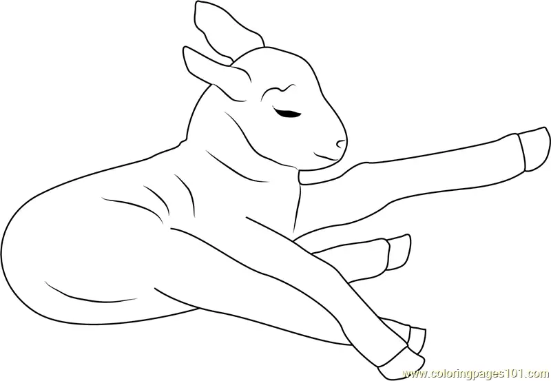 Lamb Coloring Pages 7