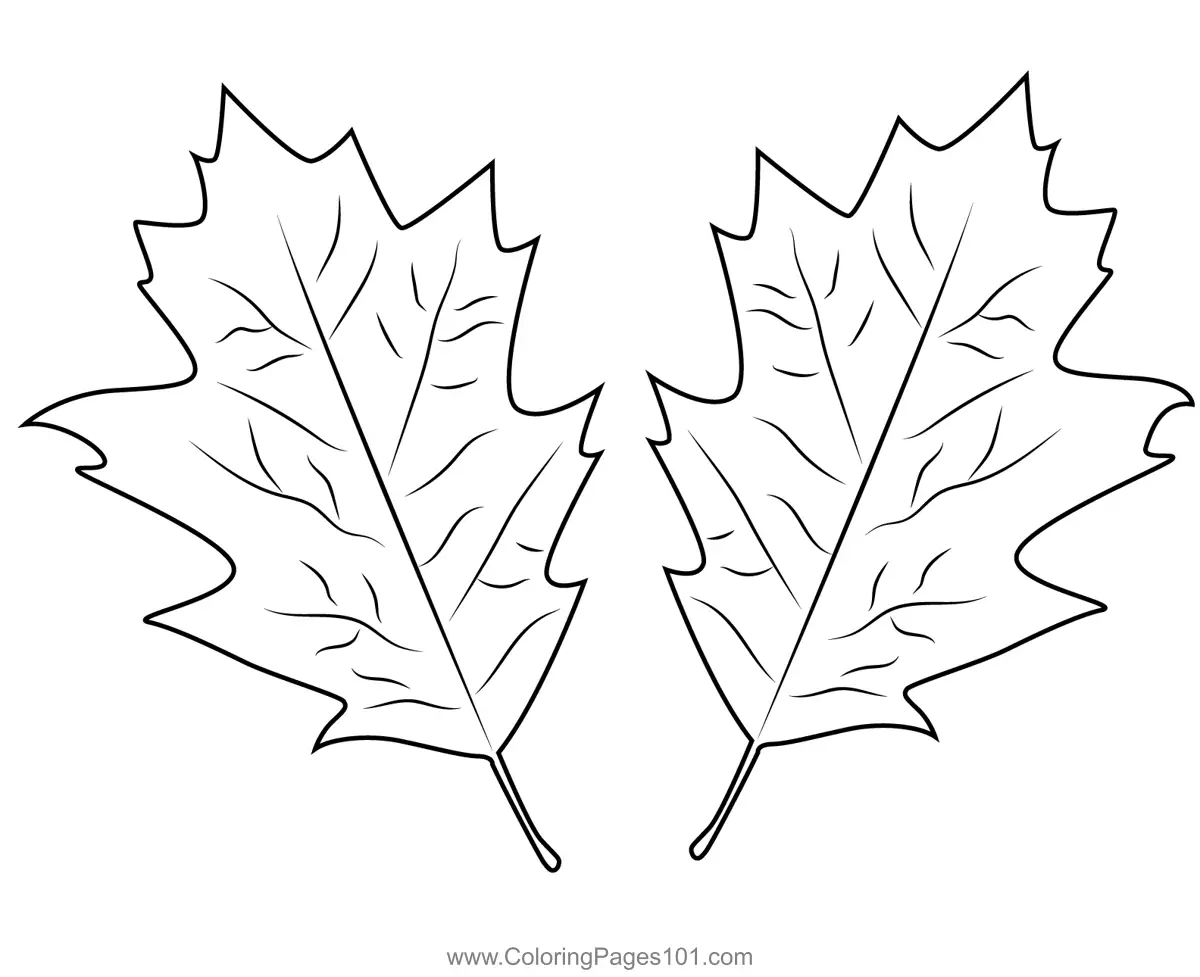 Leaves Coloring Pages 8