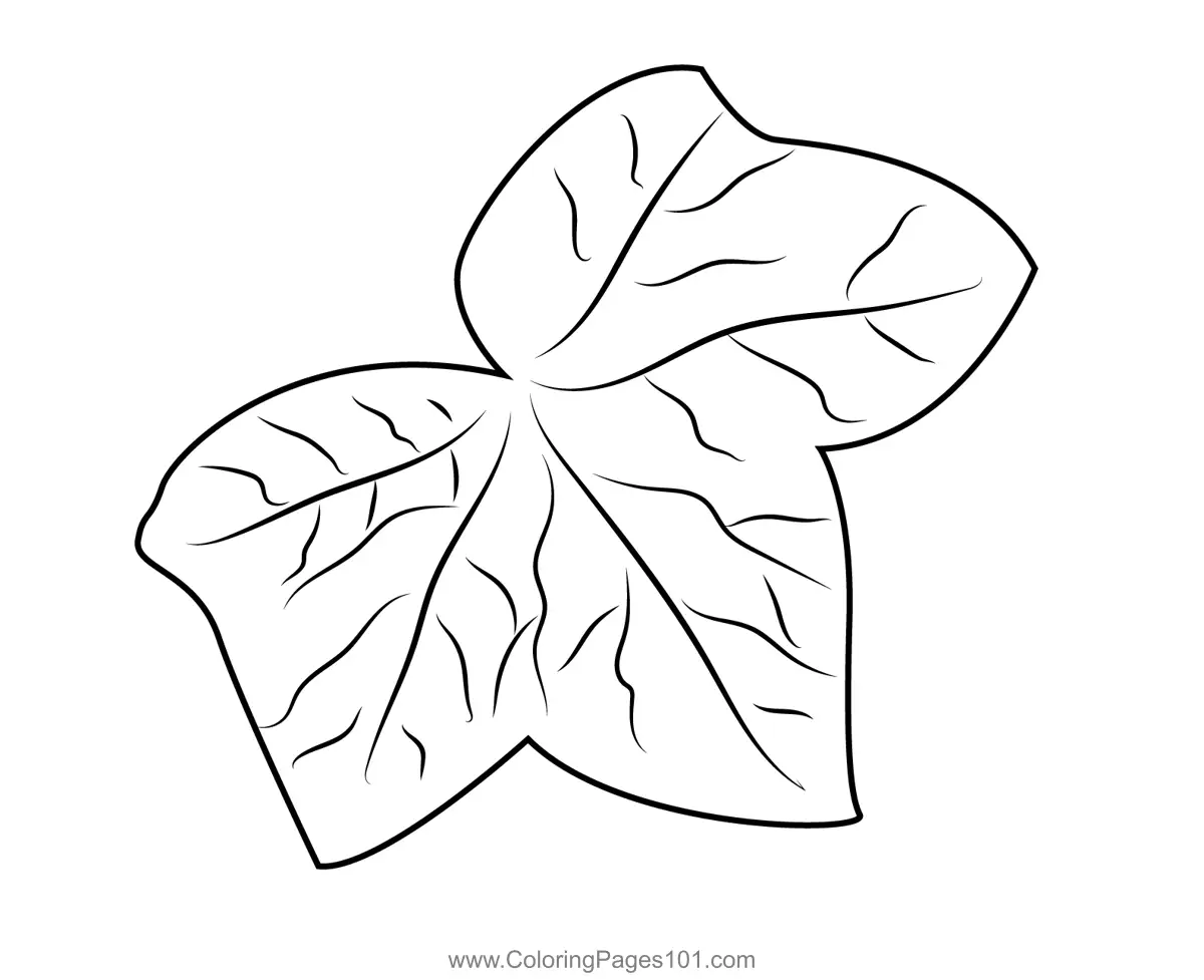 Leaves Coloring Pages 9