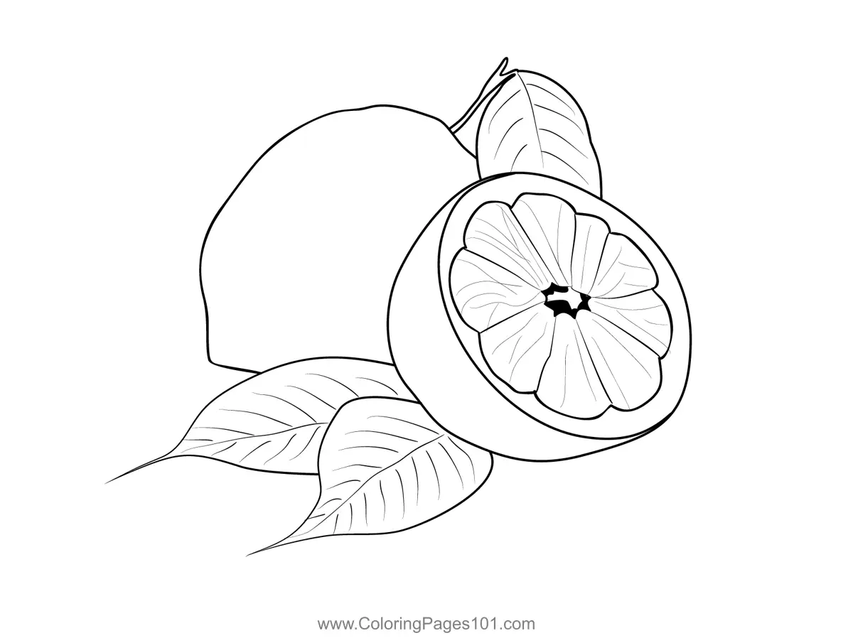 Lemon Coloring Pages 10