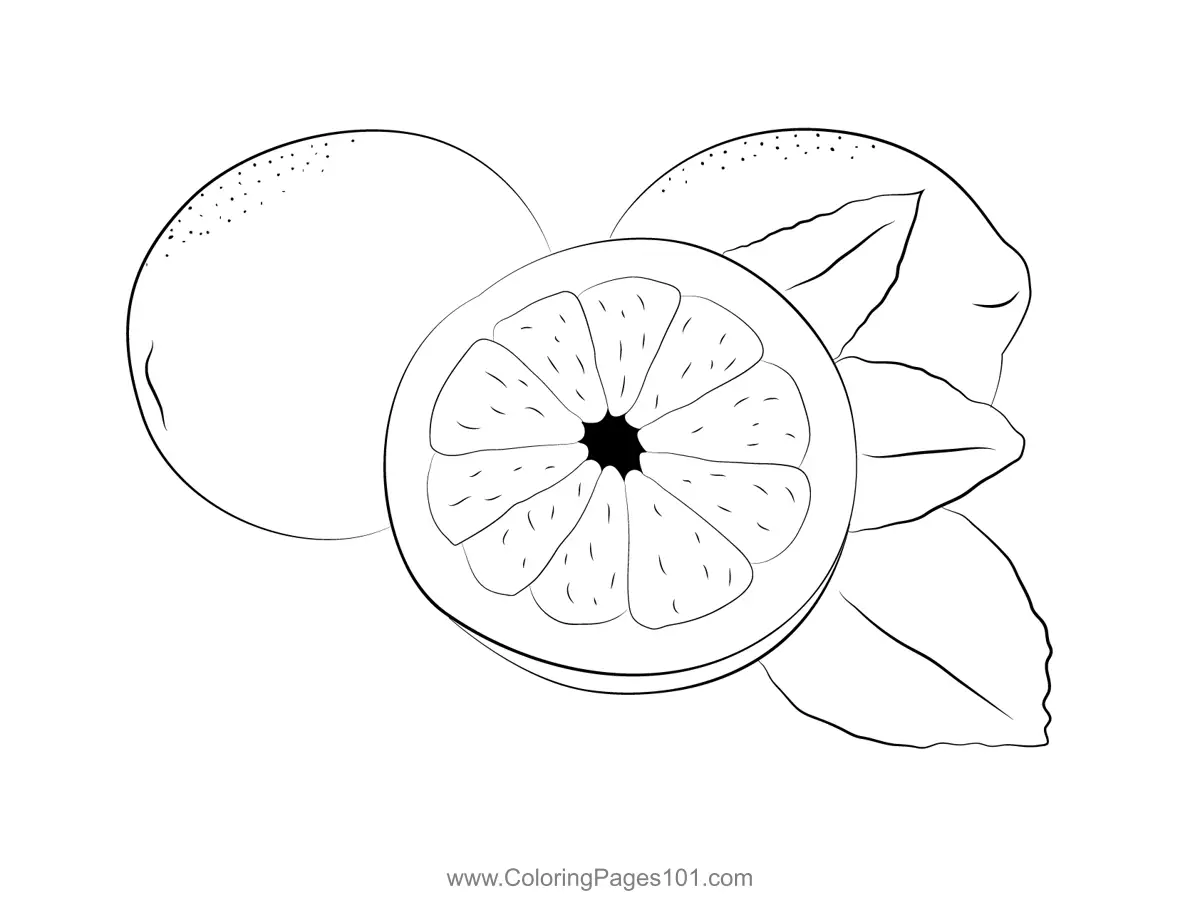 Lemon Coloring Pages 7