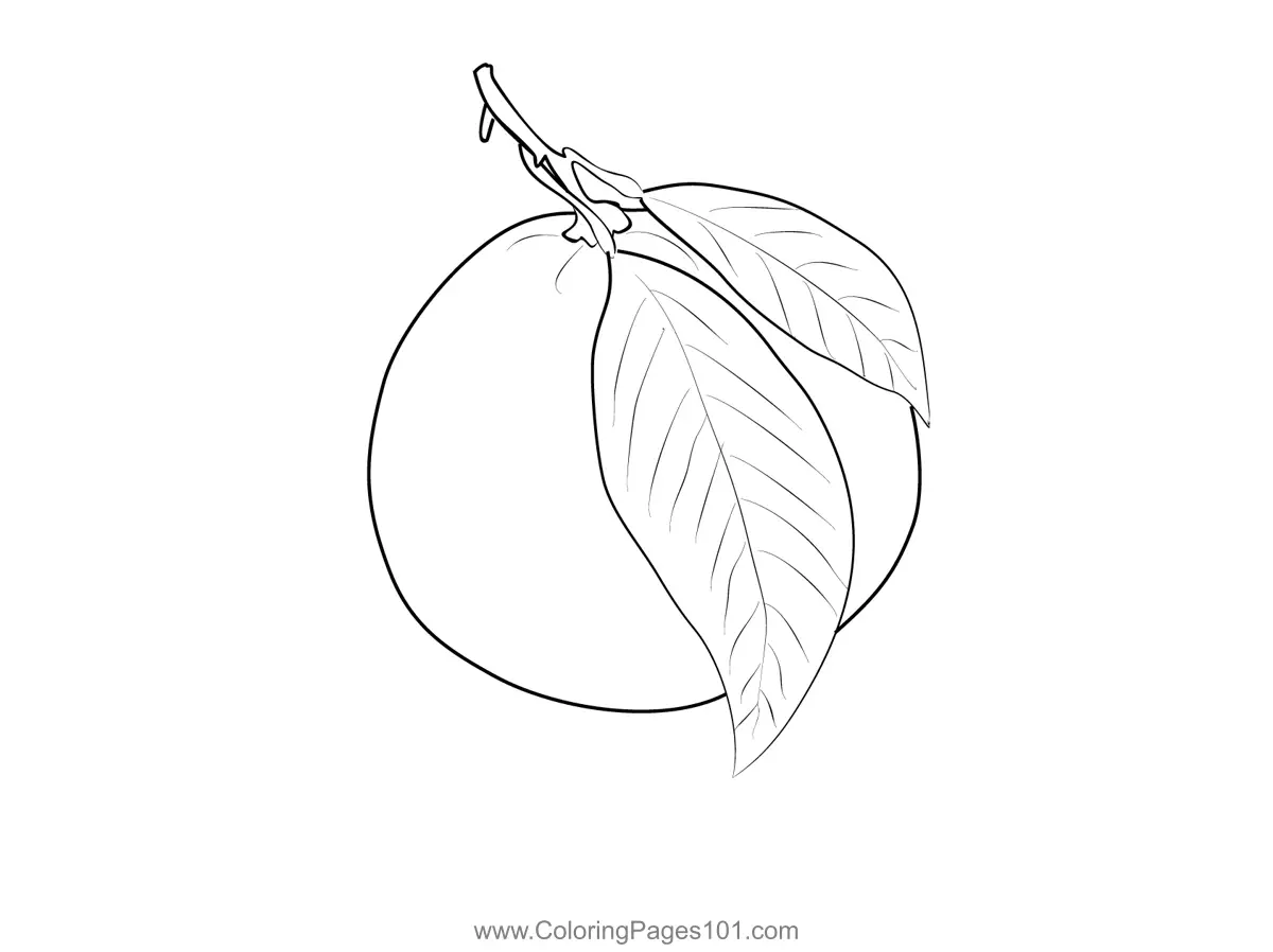 Lemon Coloring Pages 9