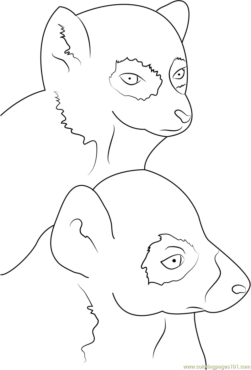 Lemur Coloring Pages 11