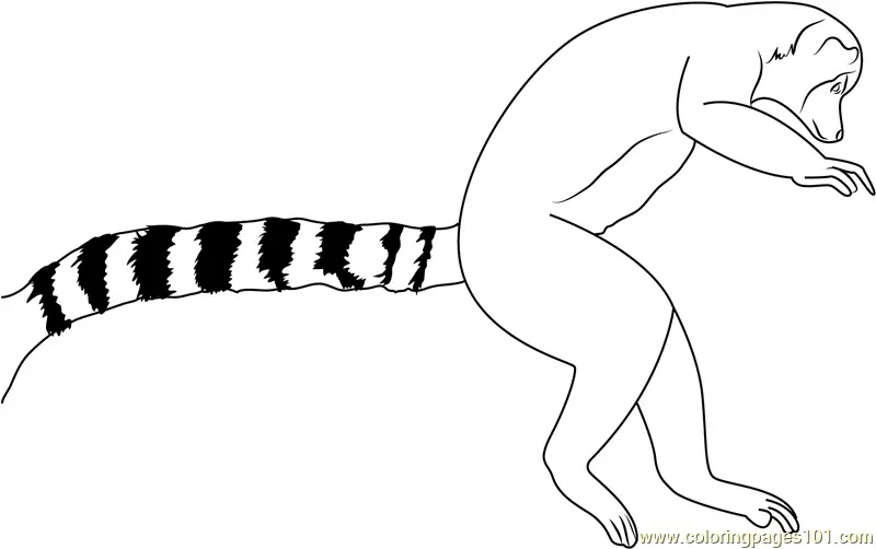 Lemur Coloring Pages