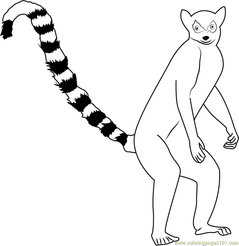 Lemur Coloring Pages 2