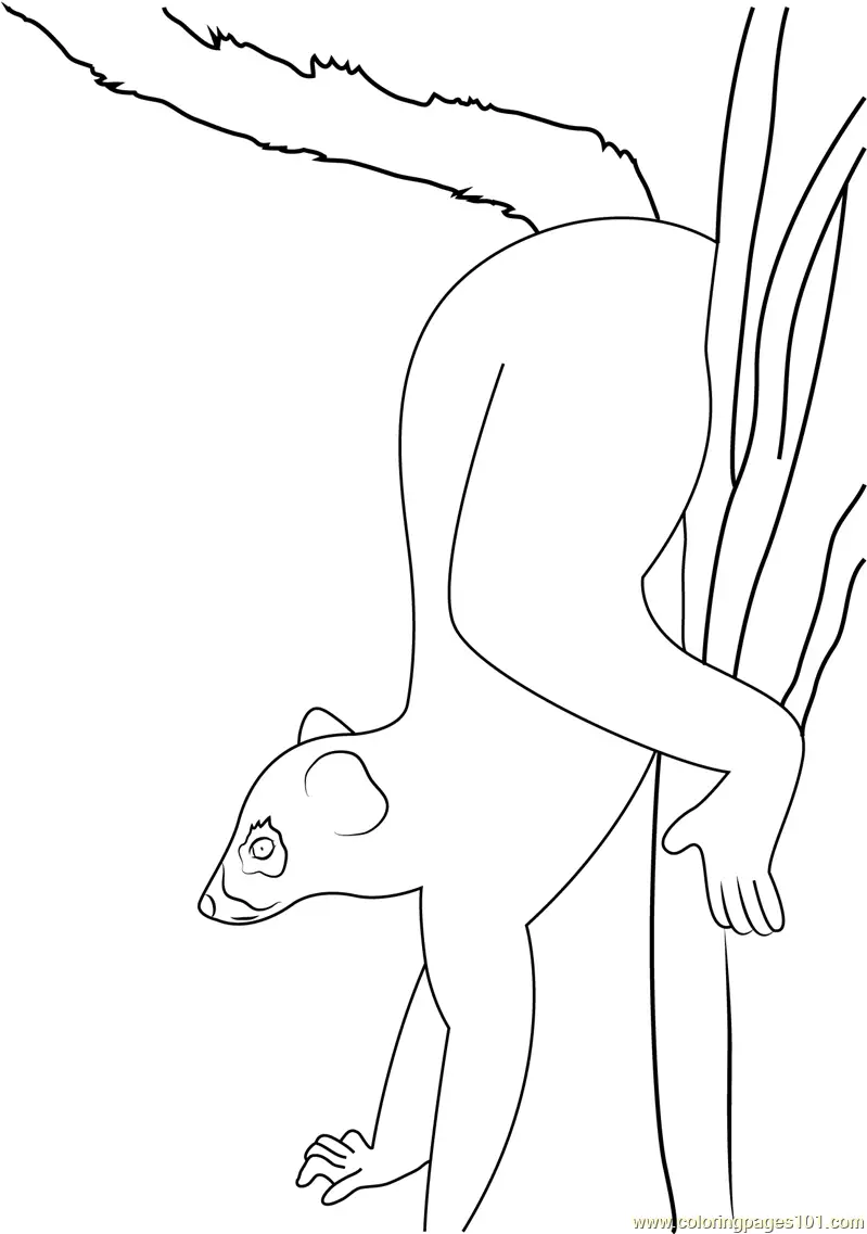 Lemur Coloring Pages 3