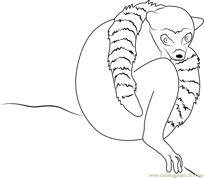 Lemur Coloring Pages 4
